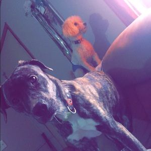 Meet your Posher, Nicole